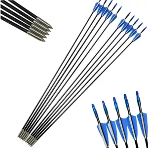 Tiro con arco 31.5 '' flechas de fibra de vidrio para cazar y practicar - Imagen 1 de 11