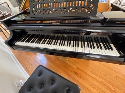 Bosendorfer grand piano Model 200 - Rare 1910 from Vienna - Image 1 of 4