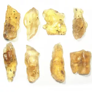 1pc 3-6cm Golden Copal Amber with Fossil Insects Specimens, Ants & Mosquitoes - Picture 1 of 7