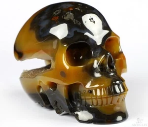 4,0 Zoll Premium Brasilianischer Achat Geschnitzter Kristallschädel, Realistisch, Kristall Heilung - Bild 1 von 10