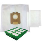 10 Vacuum Cleaner Bag + 1 Hepa Filter Suitable for Electrolux Zo 6331 Oxy3system