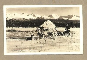 Arctic Express Resting Anchorage Dog Sled Real Photo Postcard RPPC - Picture 1 of 3