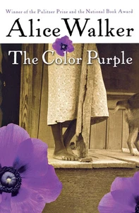 The Color Purple - paperback Alice Walker - Picture 1 of 1