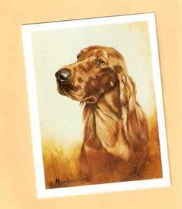 Irish Setter Note Cards NoteCard by Ruth Maystead Box of 6 - Picture 1 of 1