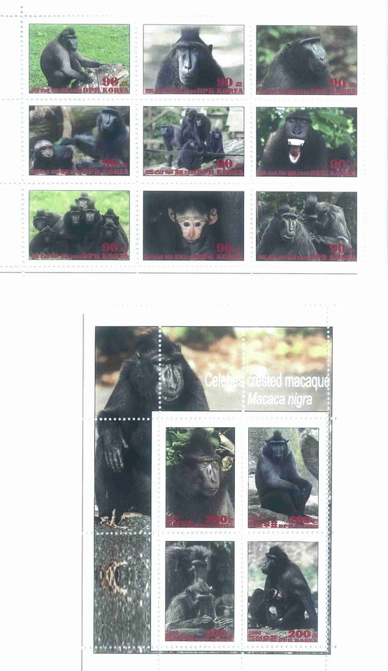 Stamp sheet+block Celested Crested Macaque 2020 Korea issue Monkeys - Image 1 of 1