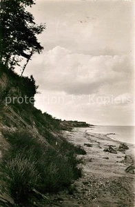 Dahmeshoeved Holstein Steilufer - Bild 1 von 2