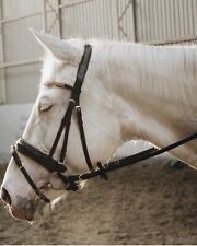 Amazing brown bridle Full-size