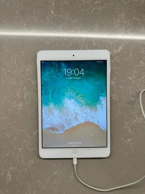 Apple Ipad mini 2 16Gb - Immagine 1 di 4