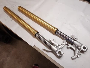 Horquillas delanteras Aprilia Dorsoduro 1200 para 2010-2016 - Imagen 1 de 4
