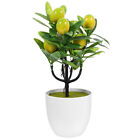  2 Pcs Faux-Zitronen-Topfpflanze Plastik Büro Gefälschte Pflanzendekoration