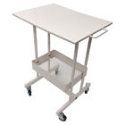 Pale Cart Trolley Doctor Dentist Medical Trolly Spa Salon Equipment Mobile