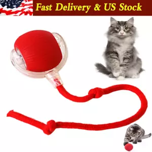 Cat Interactive Ball Toys Rolling Ball Faux Tail Rechargeable Smart Pet Toy US~ - Picture 1 of 13