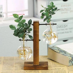 Jarrón de bombilla de maceta de vidrio soporte de madera contenedor de planta hidropónica decoración - Imagen 1 de 8