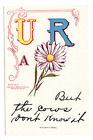 Postcard P J Plant "You are a Daisy,But the Cows Don't Know It",Poser #77,1906