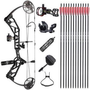 19-70lbs Archery Compound Bow Arrow Set Ajustable Aluminum Alloy Hunting Target - Picture 1 of 25