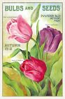 Tulip Bulbs, 1912 Gardening Advert, Vintage Retro Style New Metal Sign Plaque