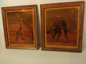 1970's Photos African Elephant & Masia Giraffe Framed 8"x10" Wood Amber Glass - Picture 1 of 13