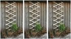 3x Expanding Garden Trellis Wooden Plant Flower Support Screen Panel 6ft x 2ft