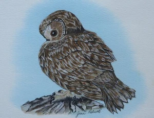 TAWNY GUFO FIRMATO DIPINTO ORIGINALE di JIM ROBERTS (Autore di SNOWDONIA) - Foto 1 di 3