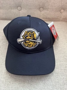 NWT Charleston River Dogs cap hat MiLB Blue Strapback Adjustable OC Sports - Picture 1 of 5