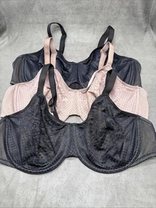 Sujetador minimizador de efectos visuales Wacoal 857210 negro y Roebuck talla 40D lote #1 - Imagen 1 de 5