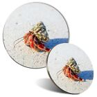 Mouse Mat & Coaster Set - Hermit Crab Shell Sandy Beach  #16115