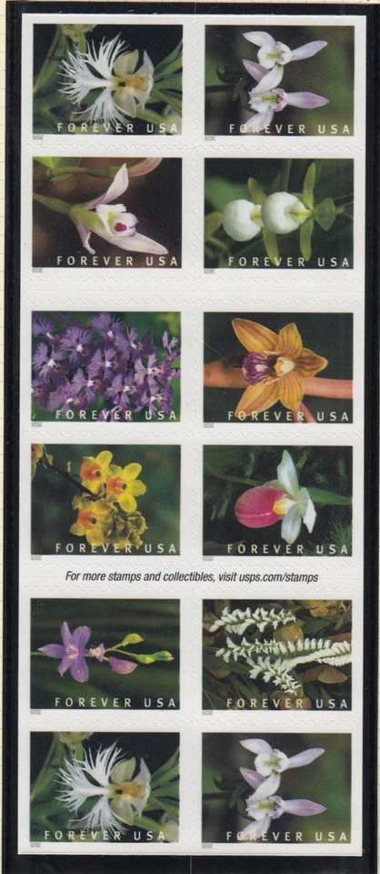 2020 Orchids 10 different Sc 5454b booklet pane of 20 plate number B1111 - Image 1 of 1