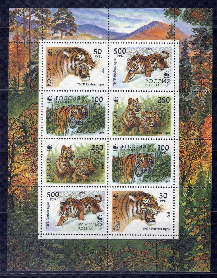 Russia & Soviet Union 6181b MNH Wild Cats Tigers Animals ZAYIX 0724M0166 - Image 1 of 1