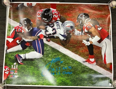 Foto autografiada de James White del Super Bowl LI 50x60 con inscripciones Foto 1 de 2