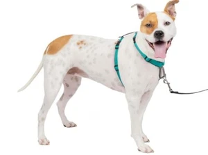 PetSafe - 3 in 1 No-Pull Reflective Dog Harness (Black) - Small 20lbs - 35lbs - Picture 1 of 4