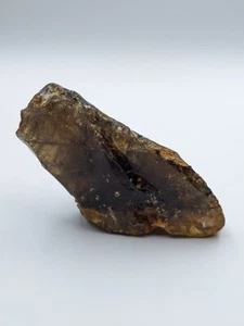 Selten und exquisit 819 ct: Rauchquarz - Volodarsko Depot Edelstein, Ukraine - Bild 1 von 9