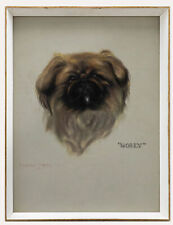 Framed 20th Century Pastel - Portrait of Golly