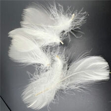 20 pcs beautiful natural goose feather 2-4 inches / 5-10cm beige