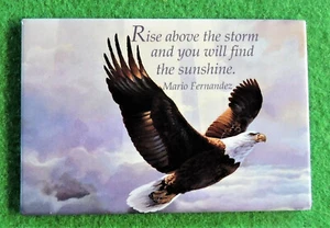 "Rise Above the Storm and You Will Find the Sunshine" Eagle Refrigerator Magnet - Picture 1 of 1