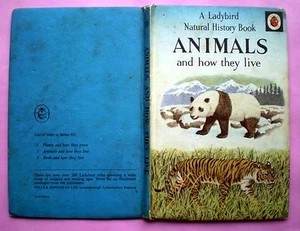Animals And How They Live Ladybird vintage book nature mammals cats wildlife - Picture 1 of 2