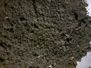 Bokashi-Dünger 5 L iter mit EM effektiven Mikroorganismen und Biokohle organisch - Bild 1 von 1