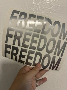 FREIHEIT Silber Vinyl Aufkleber Sticker - Charlie Kirk Zitat - Bild 1 von 4