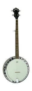 Washburn Americana Series B11K-A 5 String Banjo Natural - Picture 1 of 7