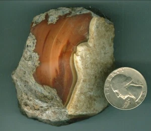 147 grams Natural American Bruneau Jasper Chunk Idaho Jasper Piece Black Jasper - Picture 1 of 1