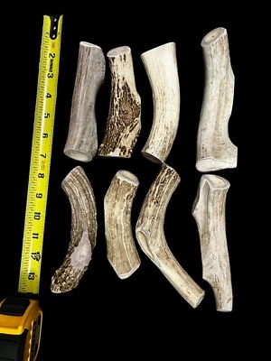 Large 4-6” All Natural Antler Chews for Dogs (1pc) - Image 1 of 2