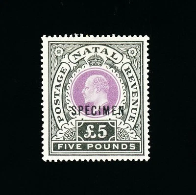 [NATAL] 1902 KEVII: £5 SG 144 / SC 98 ‘ESPÉCIME’ sobreimpressão (MH) - Imagem 1 de 2