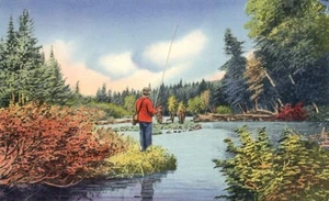 Postal de Raquette River Buttermilk Falls Fisherman Paradise Long Lake Nueva York - Imagen 1 de 2
