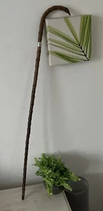 Antique Silver Band Walking Stick Blackthorn Marked By John Millward Banks * - Picture 1 of 14