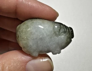 Ciondolo amuleto animale zodiaco anno maiale anno giadeite verde intagliato celadon 15g - Foto 1 di 12