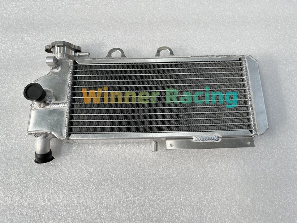 Radiador aluminio Fit BMW G650 G650X 2007 - 2009 07 08 17117706672 Foto 1 de 4