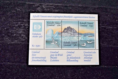 ГРЕНЛАНДИЯ 1987 МАРКА EXPO M/S S 175 MNH - Изображение 1 из 4
