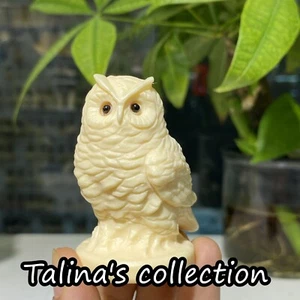 2' Natürliche echte Tagua-Nuss handgeschnitzte Eule Reiki Heilung Geschenk 1 Stck. - Bild 1 von 10