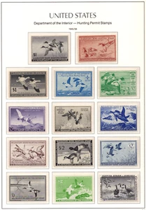 US 1945-1958 FEDERAL DUCK HUNTING STAMPS SCOTT #RW12–RW25 ALL MINT NEVER HINGED - Picture 1 of 1