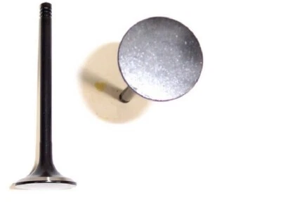 Fits 2002 2003 Saturn Vue 3.0L DOHC V6 24V - 12 Intake & 12 Exhaust Valves - Image 1 of 2