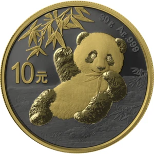 10 Yuan Golden Ring Edition - Panda China 30 gramos plata 2020 - Imagen 1 de 3
